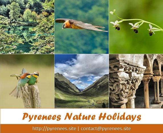Pyrenees Nature Holidays